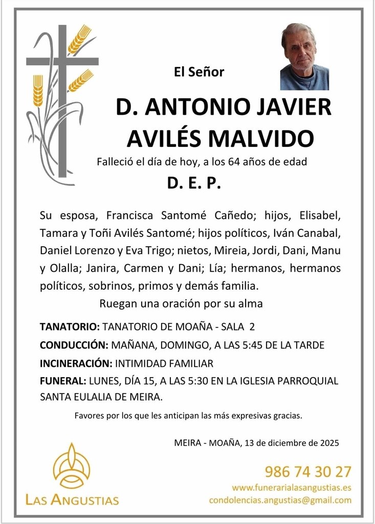 D. ANTONIO JAVIER AVILÉS MALVIDO