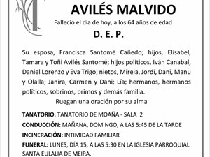 D. ANTONIO JAVIER AVILÉS MALVIDO
