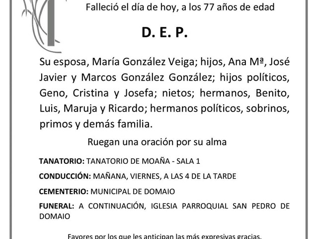 D. ENRIQUE GONZÁLEZ BALLESTEROS