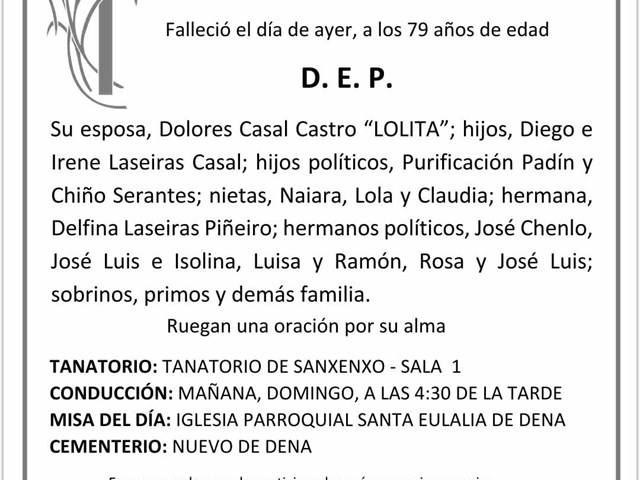 D. ENRIQUE LASEIRAS PIÑEIRO