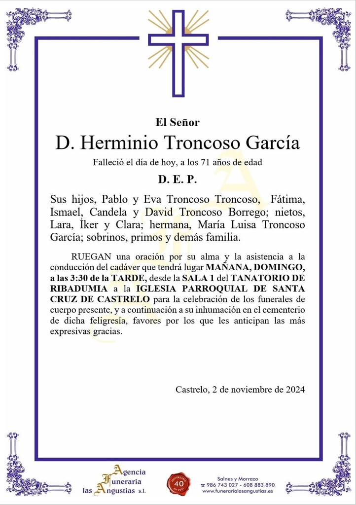 D. HERMINIO TRONCOSO GARCÍA