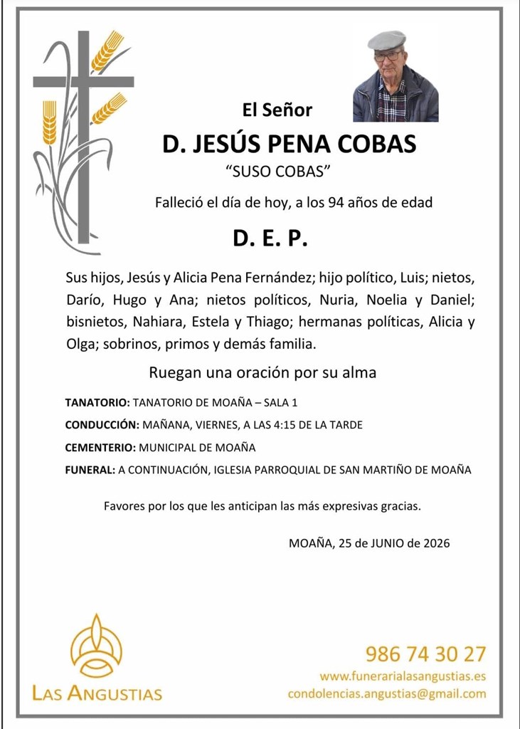 D. JESÚS PENA COBAS