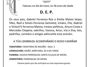 D. JOSÉ MANUEL FERVENZA MATEO