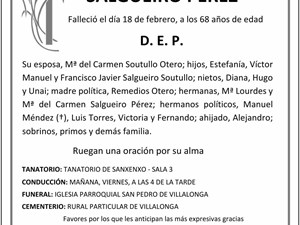 D. JUAN MANUEL SALGUEIRO PÉREZ