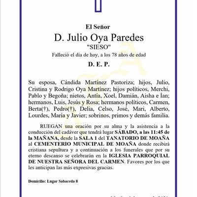 D. Julio Oya Paredes
