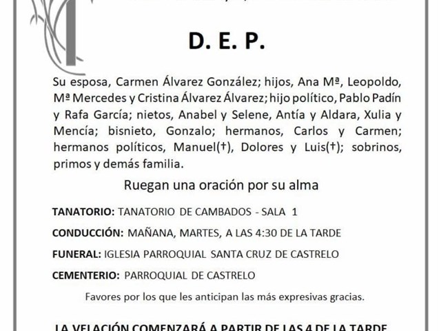 D. LEOPOLDO ÁLVAREZ OUBIÑA