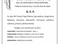 DÑA. ÁUREA PIÑEIRO PAZ