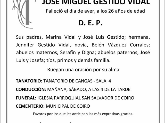 JOSÉ MIGUEL GESTIDO VIDAL